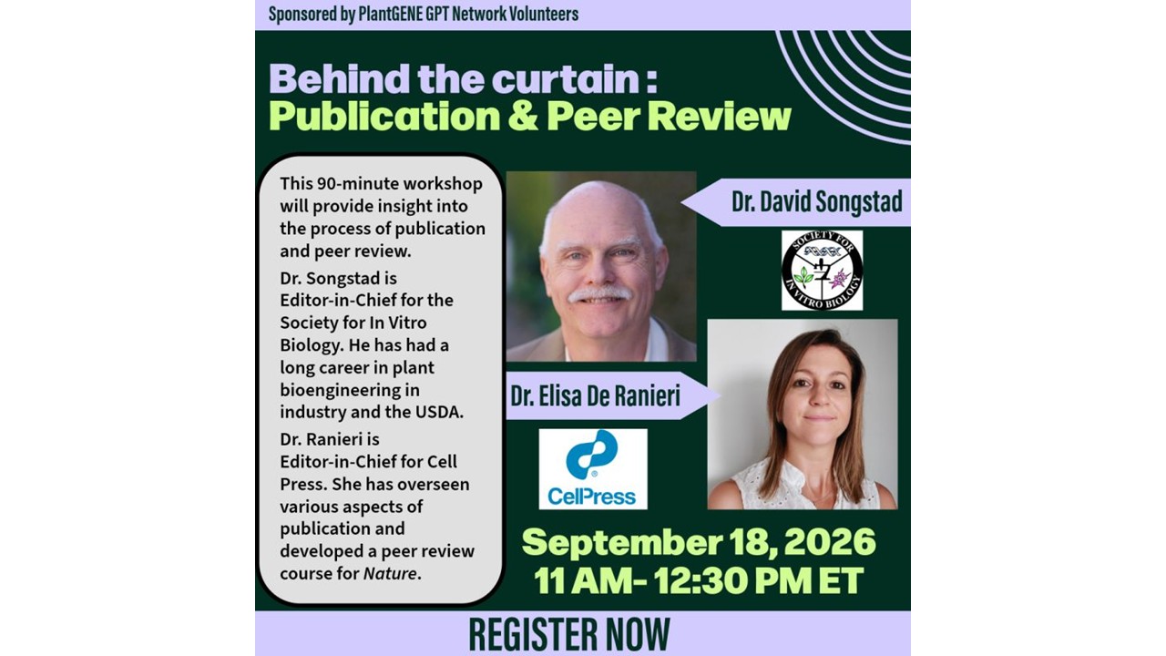 Behind the Curtain: Publication and Peer Review